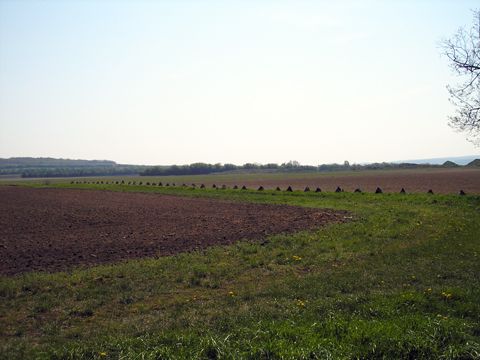 Foto 41